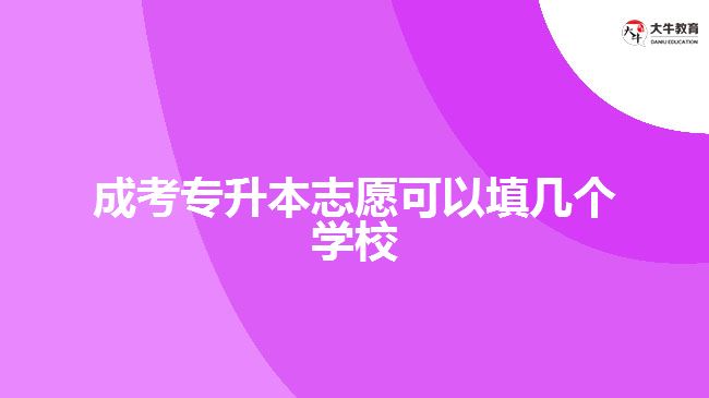 成考專升本志愿可以填幾個(gè)學(xué)校