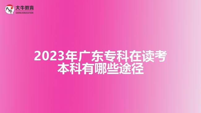 廣東?？圃谧x考本科有哪些途徑