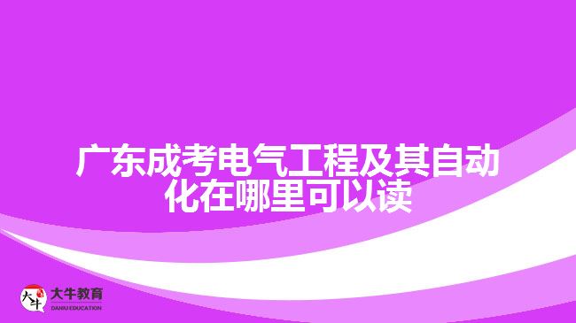 廣東成考電氣工程及其自動化在哪里可以讀