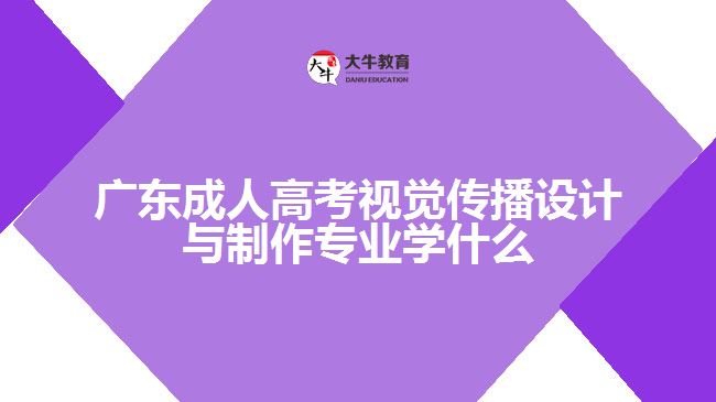 廣東成人高考視覺(jué)傳播設(shè)計(jì)與制作專(zhuān)業(yè)學(xué)什么