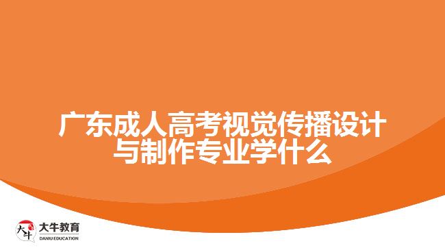 廣東成人高考視覺傳播設計與制作專業(yè)學什么