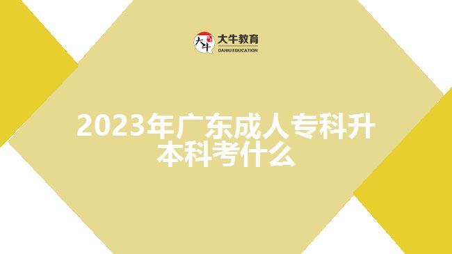 2023年廣東成人?？粕究瓶际裁? width='170' height='105'/></a></dt>
						<dd><a href=