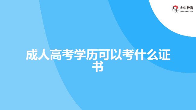 成人高考學(xué)歷可以考什么證書