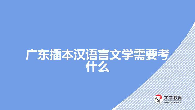 廣東插本漢語言文學(xué)需要考什么