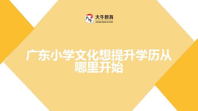 廣東小學文化想提升學歷從哪里開始