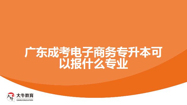 廣東成考電子商務(wù)專升本可以報(bào)什么專業(yè)