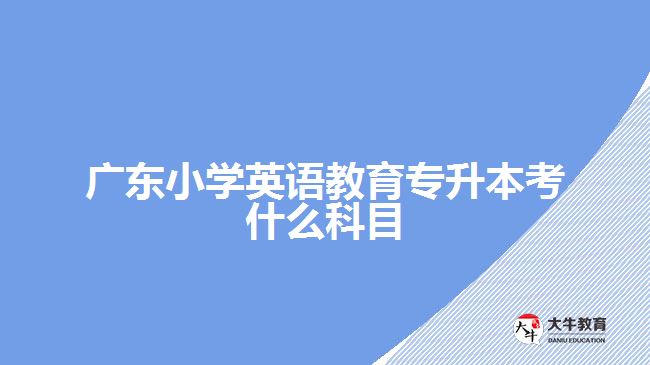 廣東小學(xué)英語(yǔ)教育專升本考什么科目