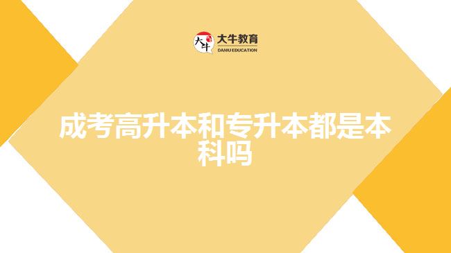 成考高升本和專(zhuān)升本都是本科嗎