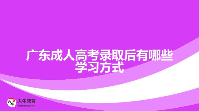 廣東成人高考錄取后有哪些學習方式