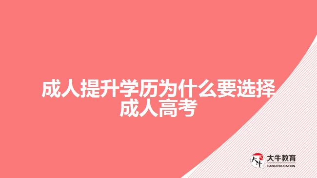 成人提升學(xué)歷為什么要選擇成人高考