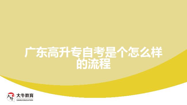 廣東高升專自考是個(gè)怎么樣的流程