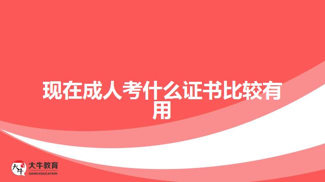 現(xiàn)在成人考什么證書比較有用