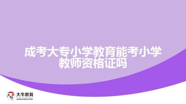 成考大專小學教育能考小學教資嗎