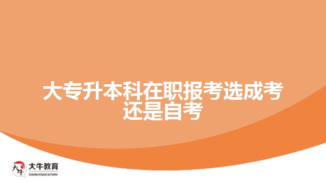 大專升本科在職報(bào)考選成考還是自考