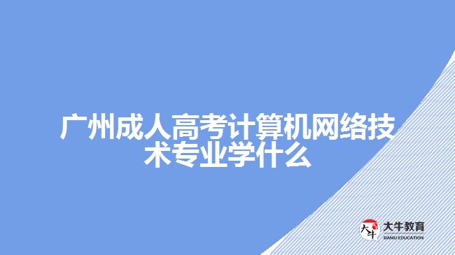 成人高考計算機網(wǎng)絡技術(shù)專業(yè)學什么