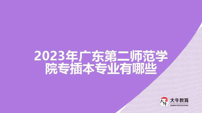 2023年廣東第二師范學院專插本專業(yè)有哪些