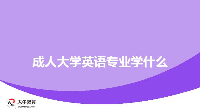 成人大學(xué)英語專業(yè)學(xué)什么