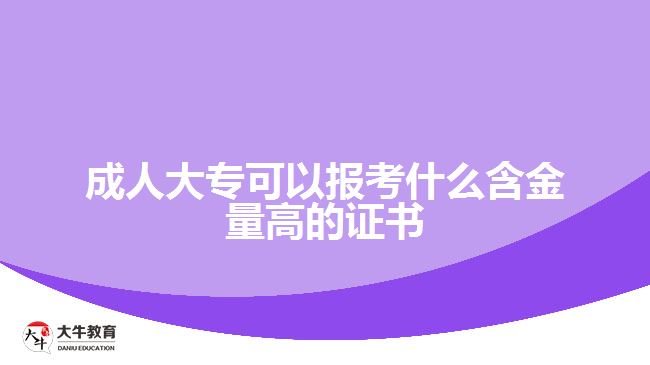 成人大?？梢詧?bào)考什么含金量高的證書