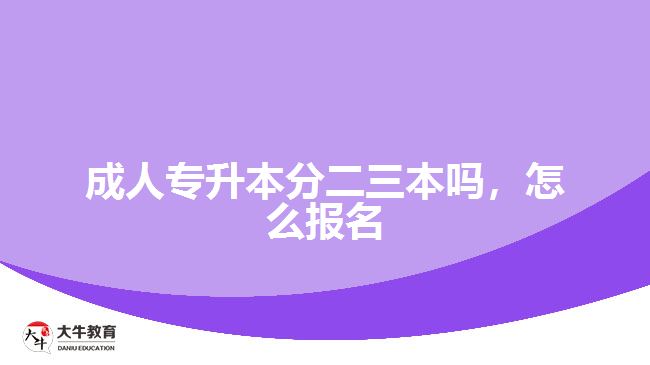 成人專升本分二三本嗎，怎么報名