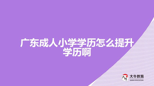 廣東成人小學(xué)學(xué)歷怎么提升學(xué)歷啊