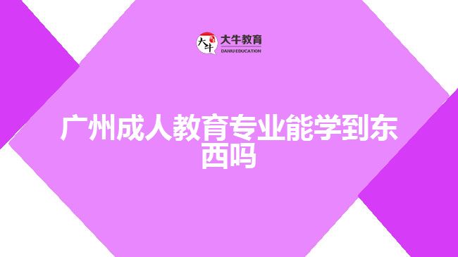 廣州成人教育專業(yè)能學到東西嗎