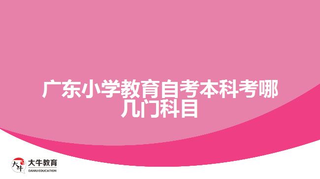 廣東小學教育自考本科考哪幾門科目