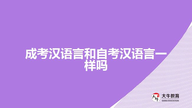 成考漢語(yǔ)言和自考漢語(yǔ)言一樣嗎