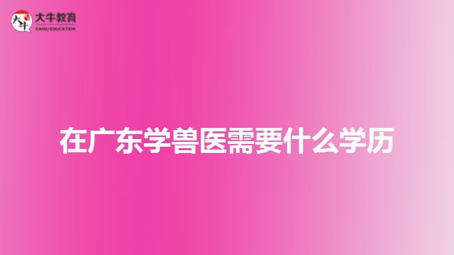 在廣東學獸醫(yī)需要什么學歷