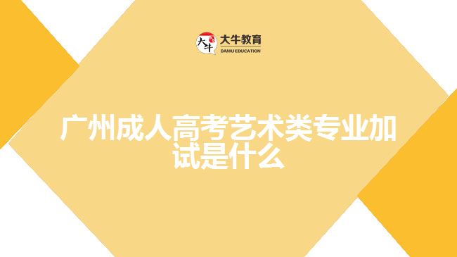 廣州成人高考藝術(shù)類專業(yè)加試是什么