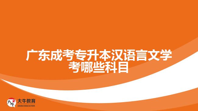 廣東成考專升本漢語言文學考哪些科目