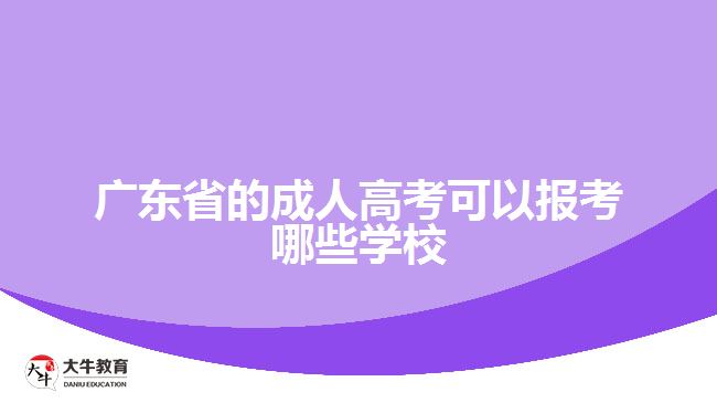 廣東省的成人高考可以報(bào)考哪些學(xué)校