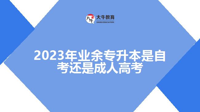 2023年業(yè)余專升本是自考還是成人高考