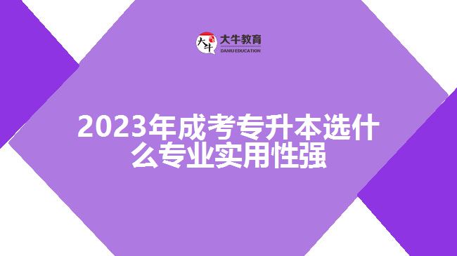 2023年成考專升本選什么專業(yè)實用性強