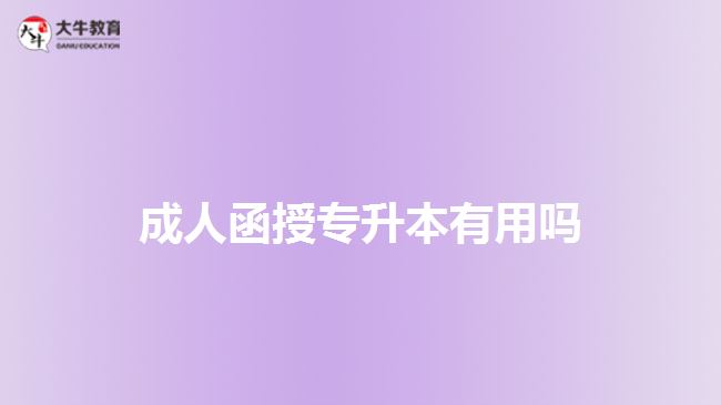 成人函授專升本有用嗎