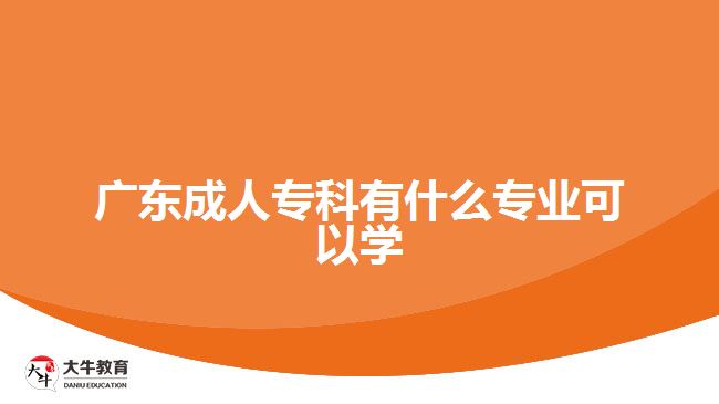 廣東成人專科有什么專業(yè)可以學