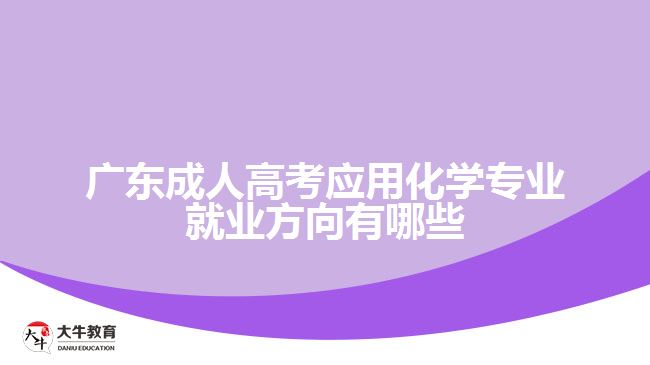 廣東成人高考應(yīng)用化學(xué)專業(yè)就業(yè)方向有哪些