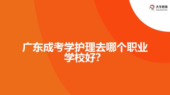 廣東成考學護理去哪個職業(yè)學校好？