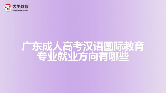 廣東成人高考漢語國際教育專業(yè)就業(yè)方向有哪些