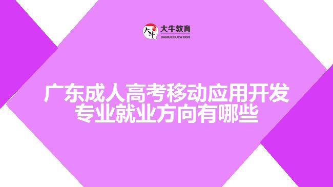 廣東成人高考移動(dòng)應(yīng)用開發(fā)專業(yè)就業(yè)方向有哪些