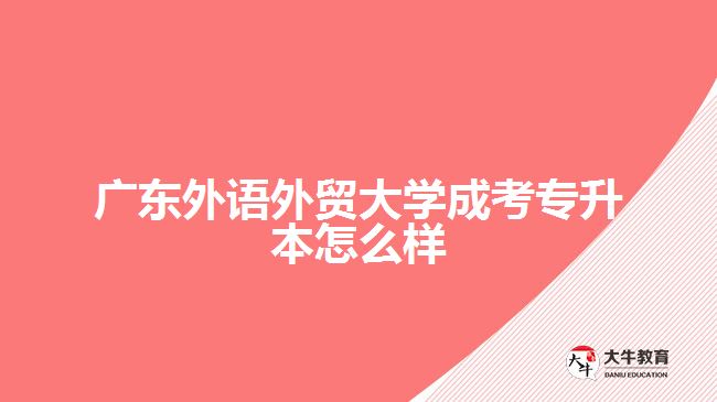 廣東外語外貿(mào)大學成考專升本怎么樣