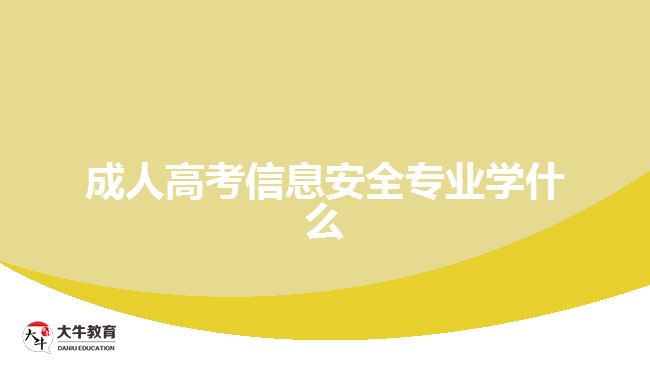 成人高考信息安全專業(yè)學(xué)什么