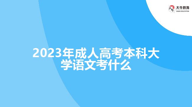 2023年成人高考本科大學(xué)語(yǔ)文考什么