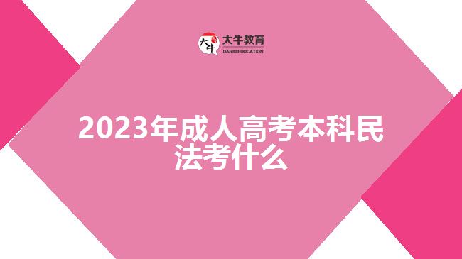 2023年成人高考本科民法考什么