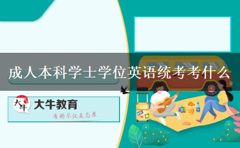 成人本科學士學位英語統(tǒng)考考什么