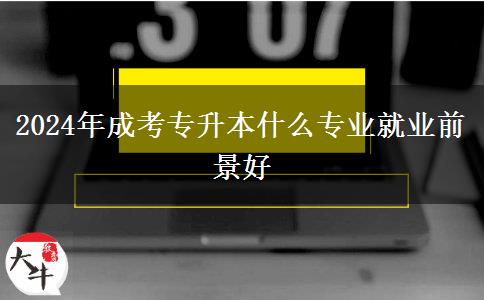 2024年成考專(zhuān)升本什么專(zhuān)業(yè)就業(yè)前景好