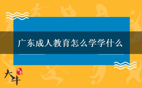 廣東成人教育怎么學學什么