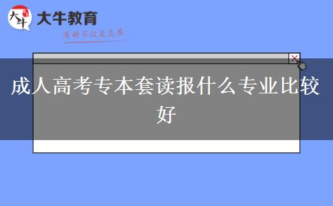 成人高考專(zhuān)本套讀報(bào)什么專(zhuān)業(yè)比較好