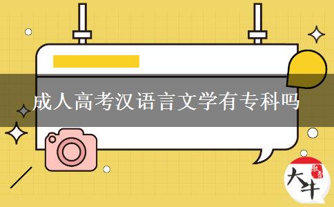 成人高考漢語(yǔ)言文學(xué)有專科嗎