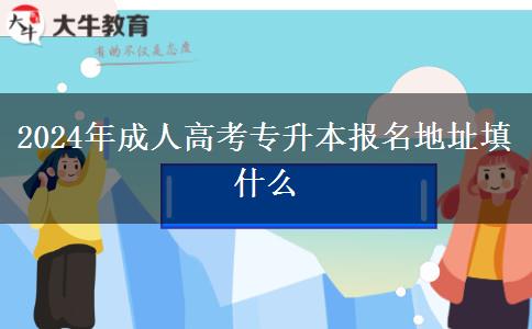 2024年成人高考專升本報名地址填什么