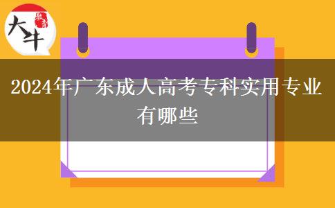 2024年廣東成人高考?？茖嵱脤I(yè)有哪些